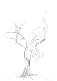 гармония жизни