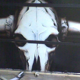 Бычий череп