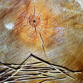 Деревянный закат ...