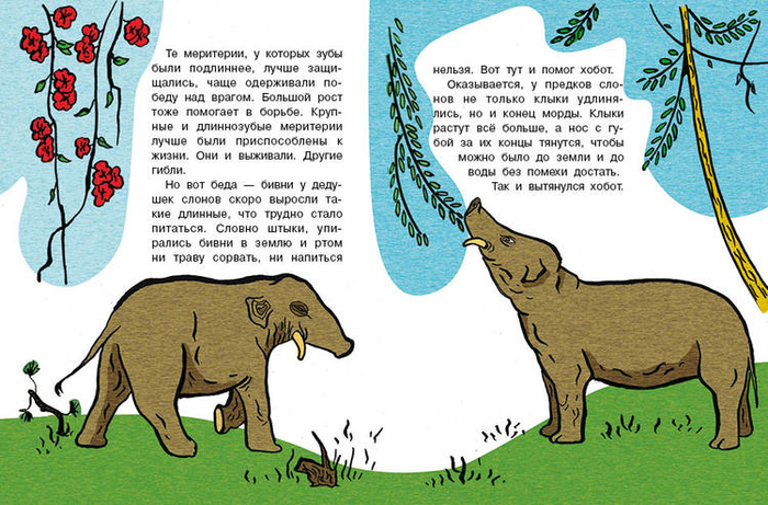 Кто без крыльев живет_10