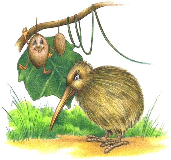 Киви и киви