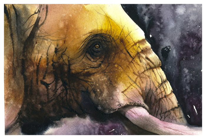Портрет Слона 