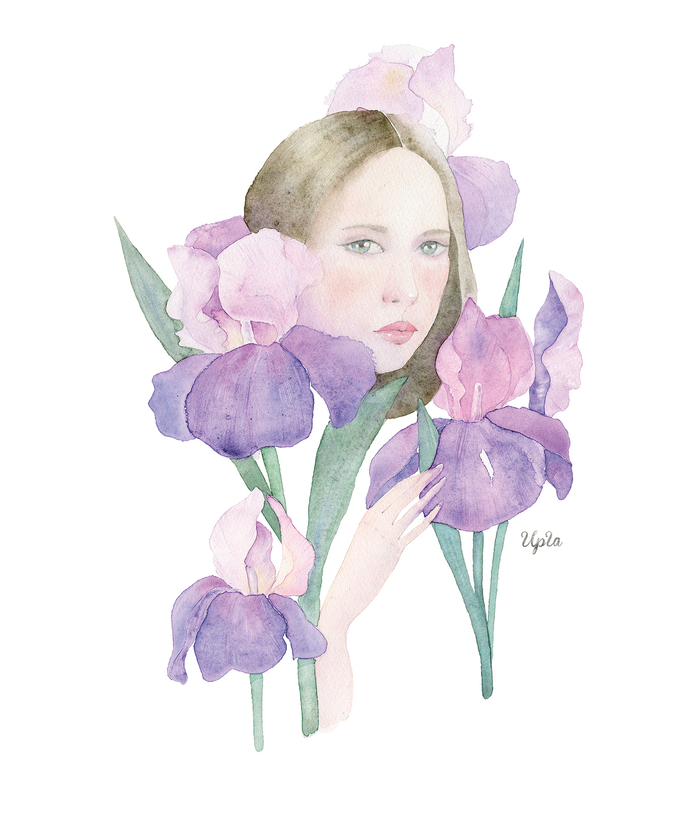Ирисы