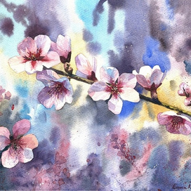 "Цветущий миндаль"