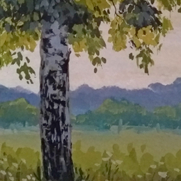 Береза белая