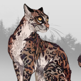 Большие кошки : Оцелот