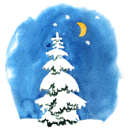 Ель в снегу. Ночь.