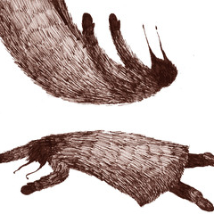 Главный герой