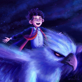 Гарри Поттер. Полет