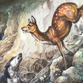 На кабаргу...