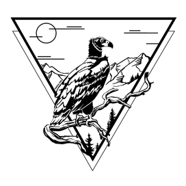 Черный гриф