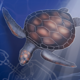 Бионика черепаха