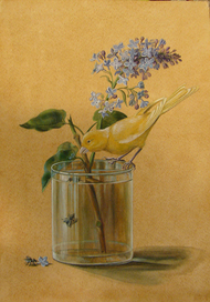 Копия с Ф. Толстого