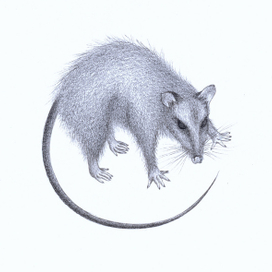 Э.Веркин "Друг апрель"