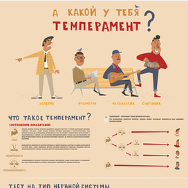 Инфографика