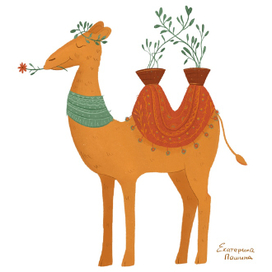 Верблюд Тима