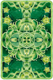 - Зелёная рубашка -