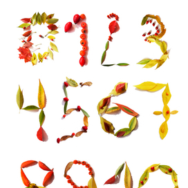 осенние импровизации