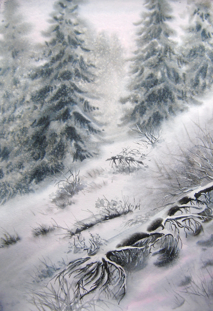 Северный лес