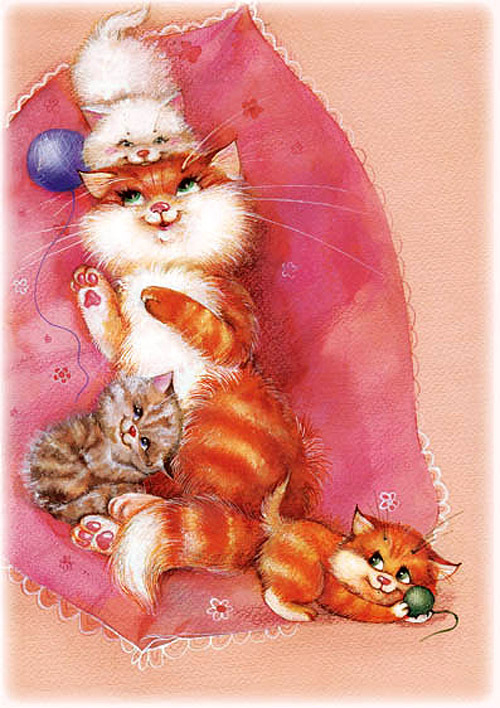 кошачье семейство