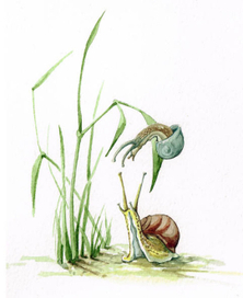 Для детской книжки 2