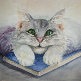 Кот хитрюга