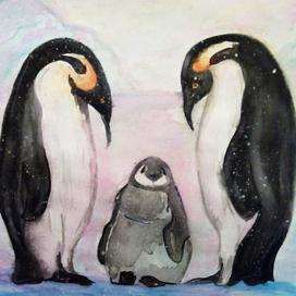 Пингвинья семья