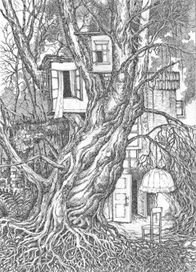 ночное происшествие