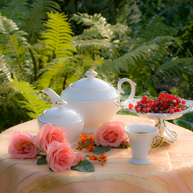 Красная смородина