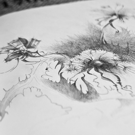 Одуванчики на футбольном поле