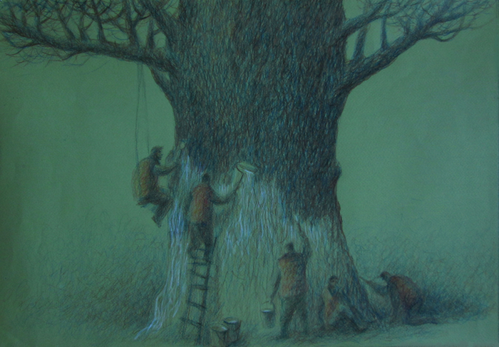 "Большое дерево"