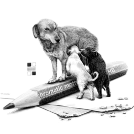 Ахроматическая композиция