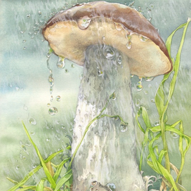 Под дождем...