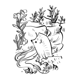 Раскраска. Ёжики