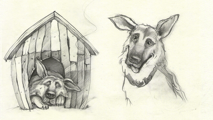 вот такой Овчарик))