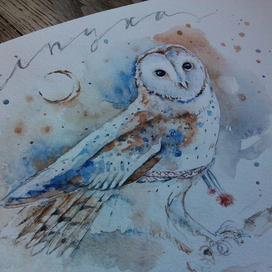 Сипуха(скетч)