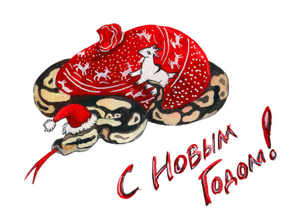 Для любителей региусов