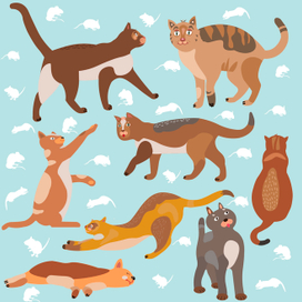 коты икошки