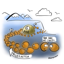 Гормональные конрацептивы не спасут яйцеклетки