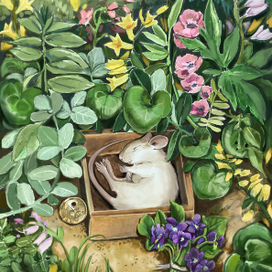 Цветы для Элджернона 