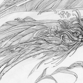 Водоросли фрагмент-2