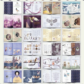 Энциклопедия "Время приключений с совами"