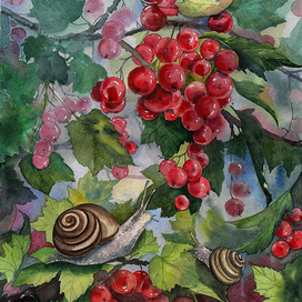 Улитки дождались лето