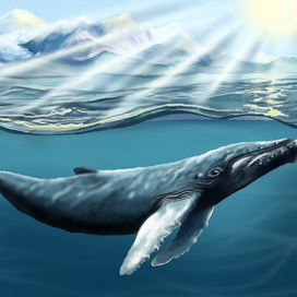 Серия работ "Два спутника моей жизни"