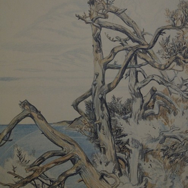 Иллюстрация книги В. Бахревского_Почему луна улыбается