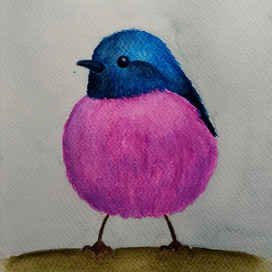 Pink Robin
