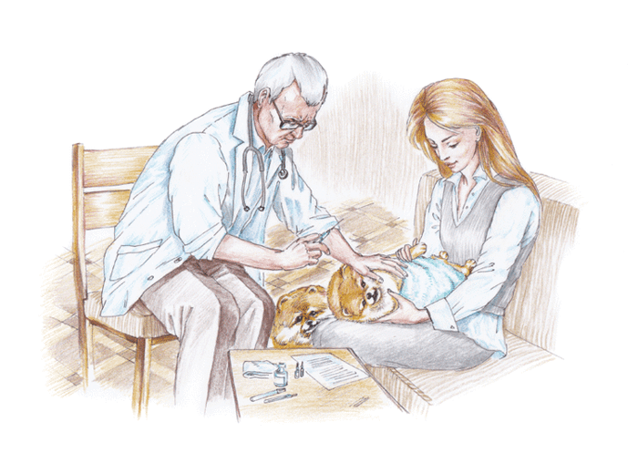 Иллюстрация к детской книге