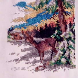 Морозный рассвет