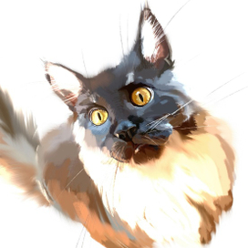 Любопытство