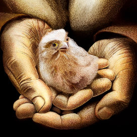 Беркутчи с соколенком